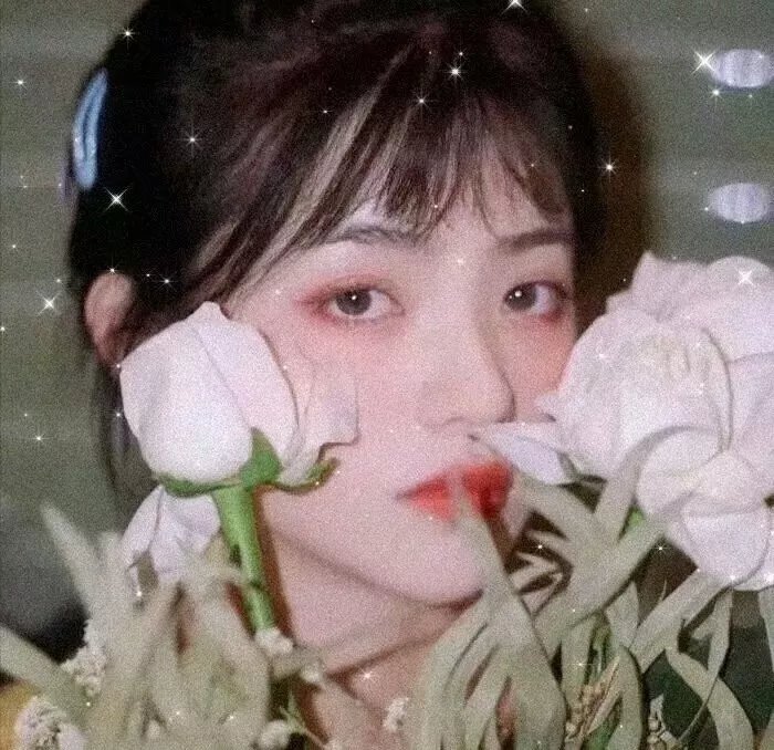 红楼梦第六部
